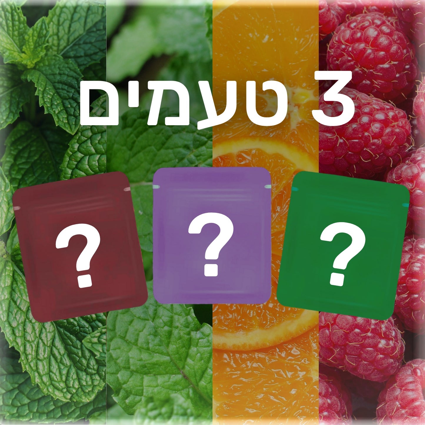 3 טעמים בהנחה מיוחדת!